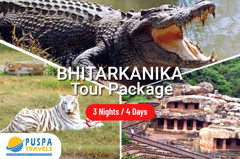 Bhitarkanika Tour Package: Wildlife & Mangroves Adventure